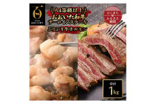 ＜のし付き＞＜お中元＞おおいた和牛サーロインステーキ&ホルモン(合計1kg)【1409780】
