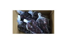 巨峰(種あり) 約2kg(5～7房)葡萄作り60年の果樹園が朝採れ厳選でお届けします_巨峰 果物 くだもの フルーツ 種あり 2kg 甘い 朝採り 葡萄 農園直送 成長剤不使用 低農薬栽培 人気 おすすめ 送料無料 贈答 ギフト【1521535】