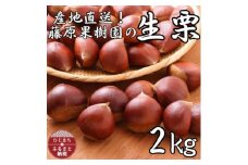 産地直送!藤原果樹園の生栗厳選2キロ【1541135】