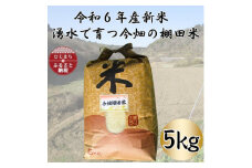 令和6年産 湧水で育つ今畑の棚田米 5kg【1544017】