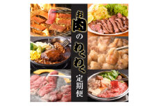 ＜毎月定期便＞お肉のわくわく定期便(つけダレ、ステーキソース付き)全6回【4058001】