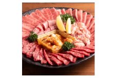 ＜のし付き＞＜お歳暮＞五種のバラエティー焼肉セット つけだれ付き 計1kg【1565789】