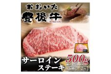 おおいた豊後牛サーロインステーキセット 500g(250g×2枚)(日出町)【1571527】