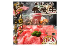 ＜厳選部位＞おおいた豊後牛サーロインしゃぶしゃぶすき焼き用 600g(300g×2P)(日出町)【1571705】