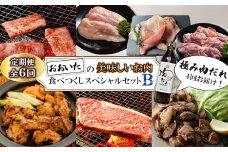 ＜毎月定期便＞おおいたの美味しいお肉食べつくしスペシャルセットB全6回【4063860】