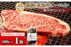 おおいた和牛サーロイン極み肉だれセット(A5ランク1枚)【1590161】