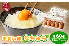 平飼い卵なちゅら(60ヶ入り)【1585337】