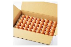 大分生まれのAW飼い有精卵「豊の米卵」90個入り【1610935】