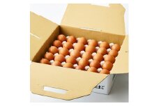 大分生まれのAW飼い有精卵「豊の米卵」30個入り【1610938】