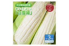 大分県日出町産　ホワイトコーン「白雪姫」【1615424】