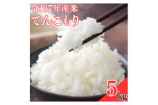＜令和7年産米＞てんこもり5kg【1623581】