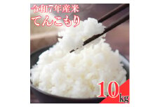 ＜令和7年産米＞てんこもり10kg【1623582】