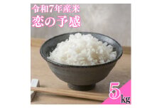 ＜令和7年産米＞恋の予感5kg【1623583】