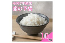 ＜令和7年産米＞恋の予感10kg【1623584】