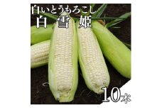 白いとうもろこし「白雪姫」10本入り【1623587】