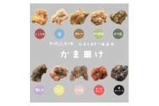 カラフル唐揚げ～卵が先か、鶏が先か、それとも唐揚げか～各種1個セット　【1627611】