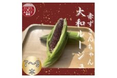 大分県日出町産 大和ルージュ＜赤ずきんちゃん＞7～9本【1635809】
