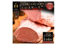 ＜毎月定期便＞おおいた和牛A5等級ヒレステーキ、ステーキソース付き(日出町)全6回【4070333】