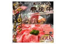 ＜毎月定期便＞厳選部位おおいた豊後牛サーロインしゃぶすき焼き用600g 300g×2(日出町)全6回【4074195】
