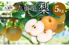 九重産 3L以上 梨 約5kg （二十世紀、あきづきのうちいずれか一種）【2025年9月発送予定】