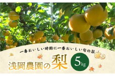 浅岡農園 の 梨 約5kg 豊水 秋月 新高 甘太 果物 大分県産 【2025年9月上旬-11月上旬発送予定】