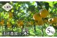 浅岡農園の梨 5kg 