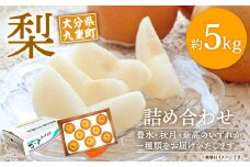 大分県 九重町産 梨 詰め合わせ 約5kg 【2025年8月下旬-10月下旬発送予定】
