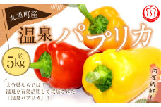 大分県九重町産 温泉パプリカ 5kg