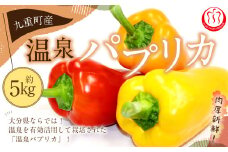 大分県九重町産 温泉パプリカ 5kg