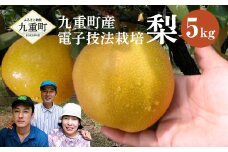 九重町産 電子技法栽培 梨 5kg 果物 大分県産 (二十世紀・豊水・あきづき・新高・新興のうちいずれか一種) 【2025年9月上旬-12月上旬発送予定】