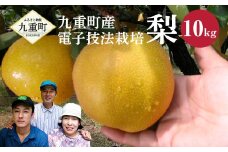 【2023年9月上旬より発送開始】 九重町産 電子技法栽培 梨 10kg 果物 大分県産 (二十世紀・豊水・あきづき・新高・新興のうちいずれか一種)