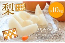 大分県 九重町産 梨 詰め合わせ 約10kg 【2025年8月下旬-10月下旬発送予定】