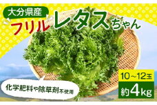 大分県産 フリルレタスちゃん 約4kg (10～12玉) 高原野菜 レタス