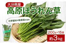 大分県産 高原 ほうれん草 3kg (200g×15袋) 高原野菜