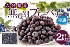 大分県産 無選別ブルーベリー 計2kg（1kg×2） ブルーベリー 栽培期間中 農薬不使用