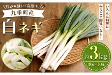 九重町産 白ネギ 約3kg (18本～30本)【2025年1月上旬まで発送予定】