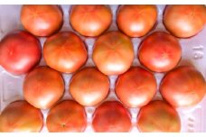 【2023年7月上旬発送開始】九重町産 大玉トマト 約4kg (16個～25個) トマト 野菜