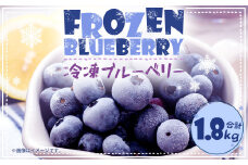 冷凍 ブルーベリー  1.8kg (600g×3袋)  【2024年6月上旬~10月上旬順次発送予定】