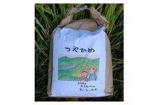 【2022年11月上旬より発送】令和4年産『地元ブランド九重米』つや姫 6kg×3袋 合計18kg お米 精米