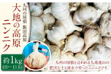 九州の屋根 飯田高原 大地の高原ニンニク 約1kg(10～15玉) にんにく