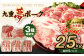 【大分県産】九重 夢ポーク (お米豚) 2.5kg セット 豚肉
