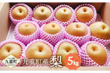 九重町産 梨 約5kg 豊水 新高 果物 フルーツ 大分県産 【2025年9月上旬-10月上旬発送予定】
