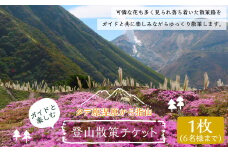 ガイドと楽しむタデ原湿原から指山 登山散策チケット 1枚6名様まで