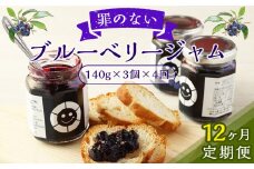 【12回定期便】 毎月届く 罪のない ブルーベリー ジャム 約420g × 12回 定期便