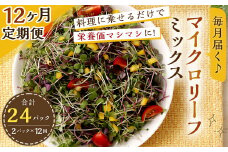 【12回定期便】 毎月届く マイクロリーフミックス 約140g 