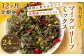 【12回定期便】 毎月届く マイクロリーフミックス 約140g 