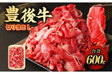 豊後牛 切り落とし 約600g 牛肉 国産 大分県産