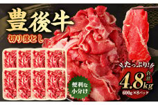 豊後牛 切り落とし 合計約4.8kg (約600g×8パック) 牛肉 国産 大分県産