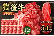 豊後牛 切り落とし 合計約5.4kg (約600g×9パック) 牛肉 国産 大分県産