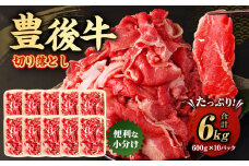 豊後牛 切り落とし 合計約6kg (約600g×10パック) 牛肉 国産 大分県産